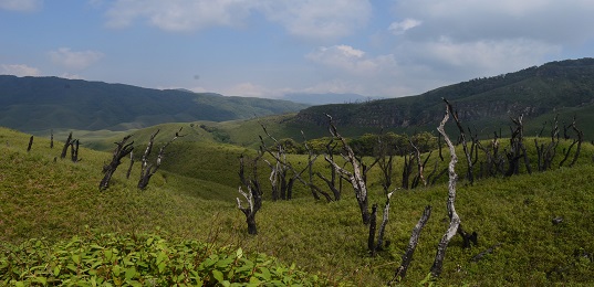 Dzukou Valley and Japfu Peak Trek Nagaland