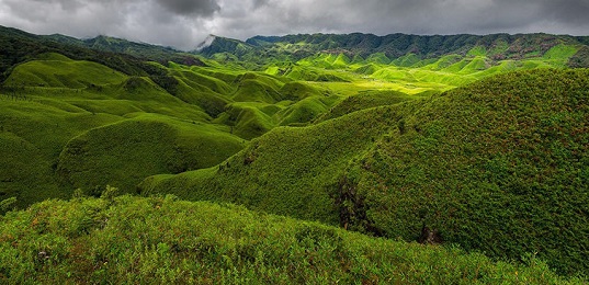 Japfu Peak Trek Nagaland