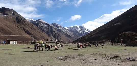 Jumolhari Trekking Bhutan