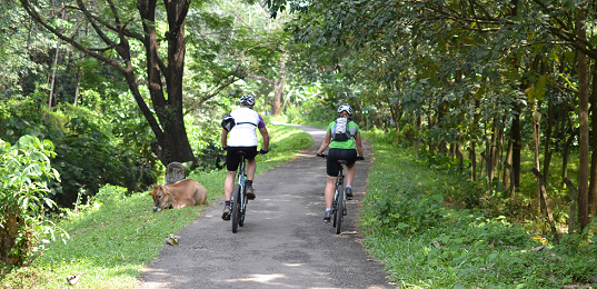 Kerala Bike Tour